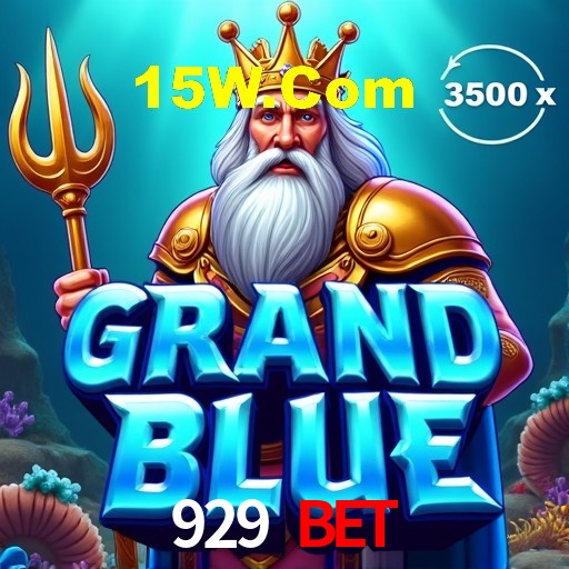 Programa VIP 929 Bet